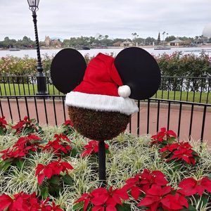 Meet your Posher, Brandy